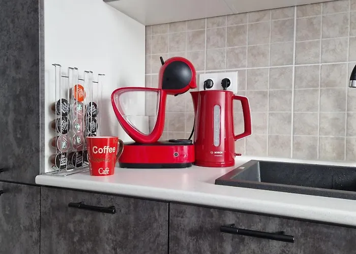 Apartment Garii- Check In Independent *